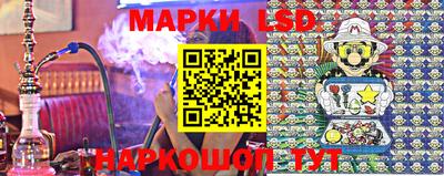 амф Дубна
